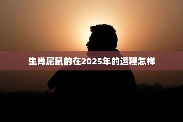 生肖属鼠的在2025年的运程怎样