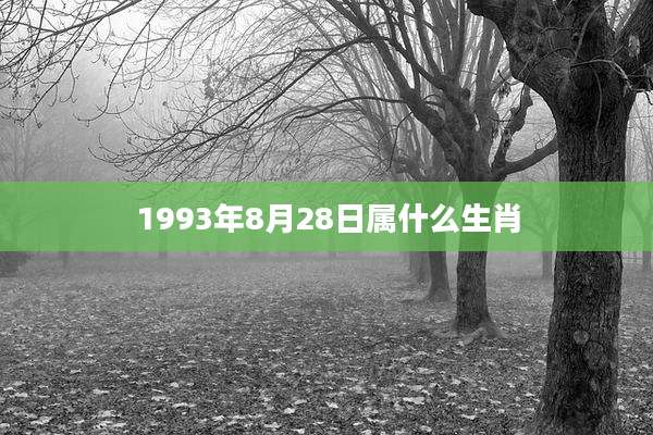 1993年8月28日属什么生肖
