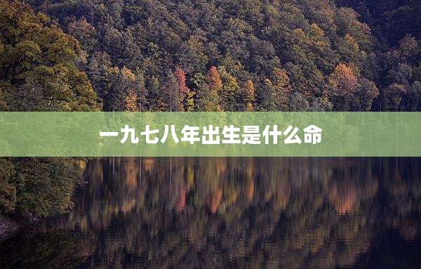 一九七八年出生是什么命