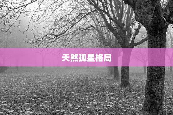 天煞孤星格局