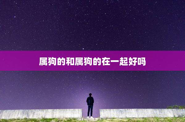 属狗的和属狗的在一起好吗