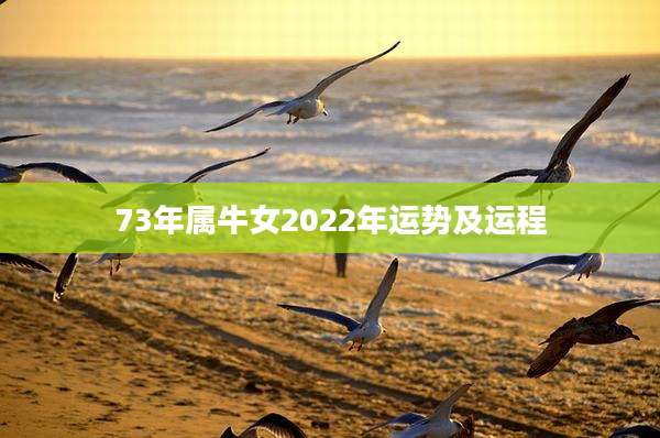 73年属牛女2022年运势及运程