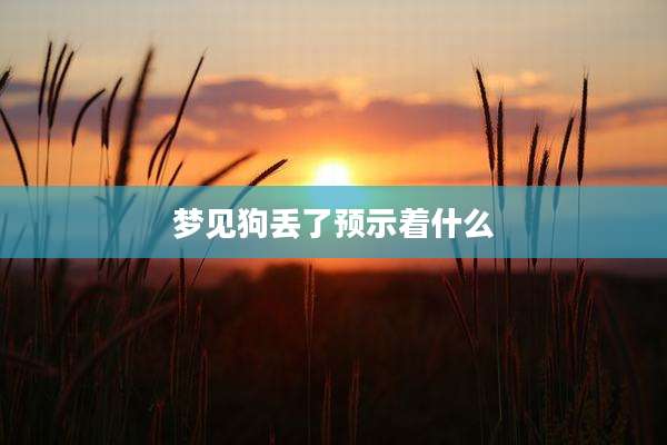 梦见狗丢了预示着什么