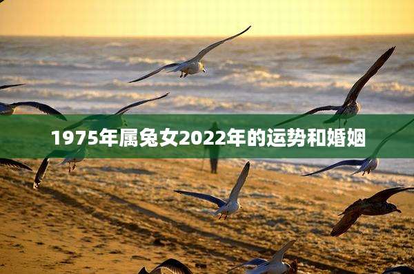 1975年属兔女2022年的运势和婚姻