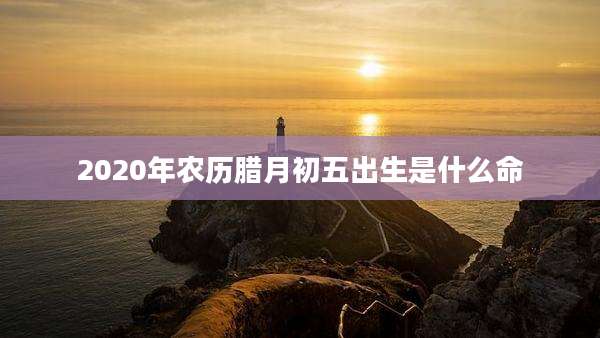 2020年农历腊月初五出生是什么命