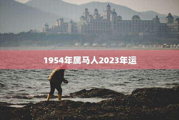 1954年属马人2023年运