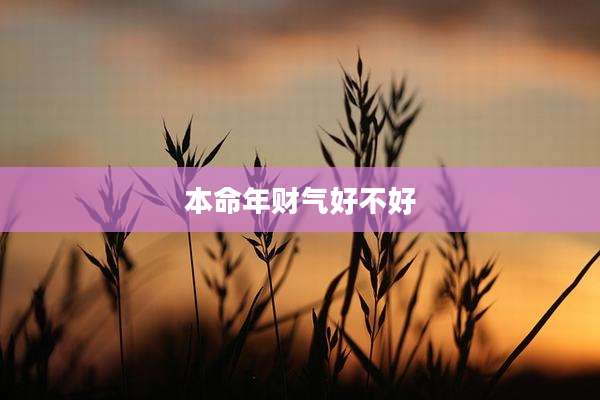本命年财气好不好