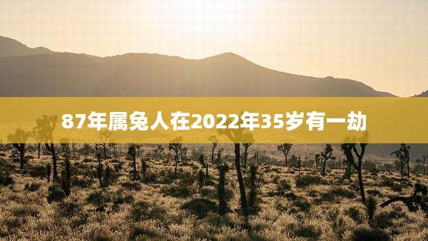 87年属兔人在2022年35岁有一劫