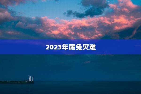 2023年属兔灾难