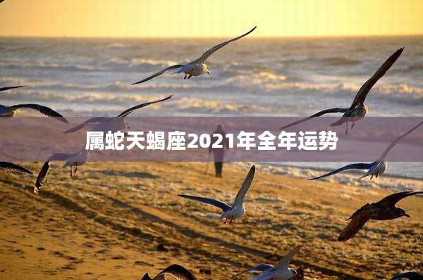 属蛇天蝎座2021年全年运势
