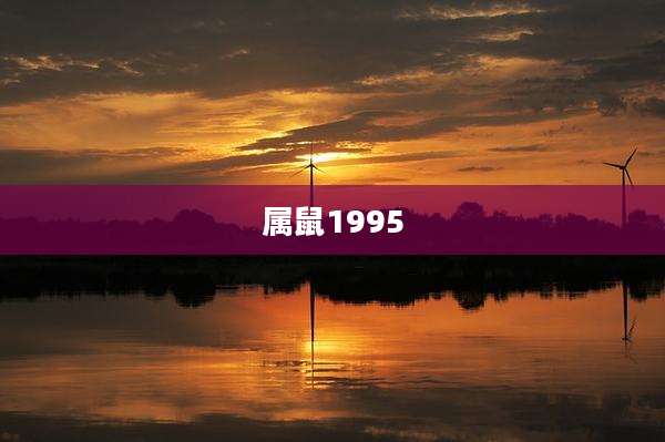 属鼠1995