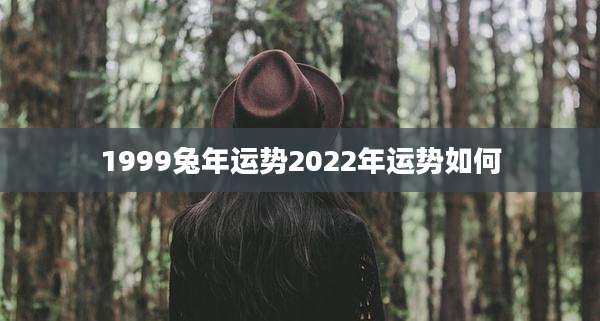 1999兔年运势2022年运势如何
