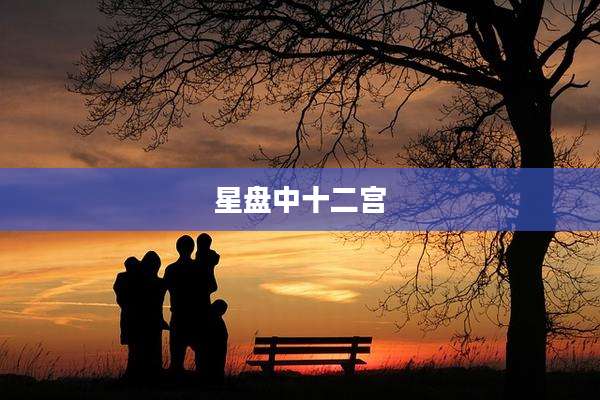 星盘中十二宫