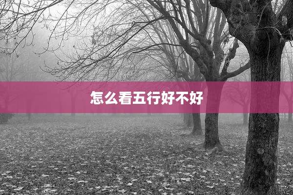 怎么看五行好不好