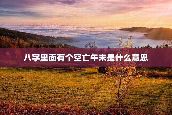 八字里面有个空亡午未是什么意思