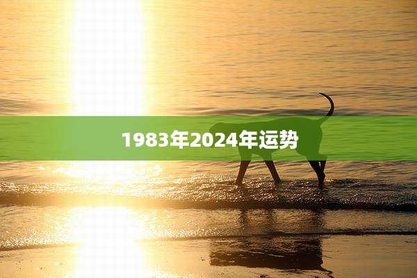 1983年2024年运势