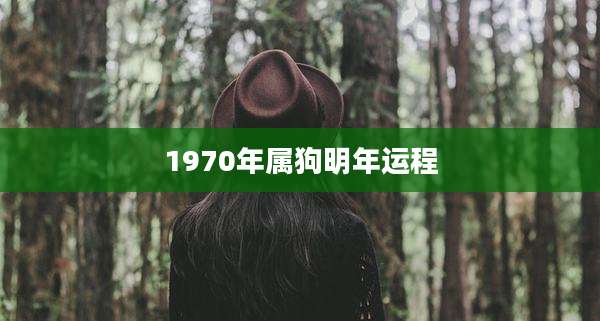 1970年属狗明年运程
