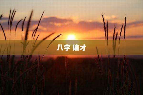 八字 偏才