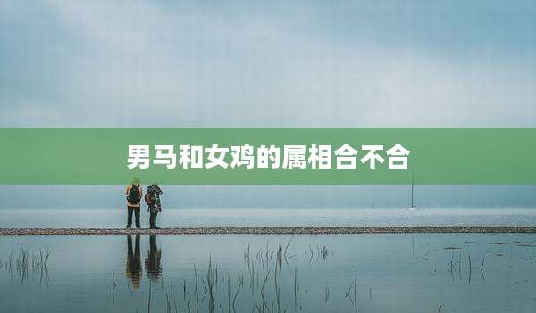 男马和女鸡的属相合不合