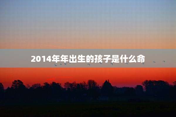 2014年年出生的孩子是什么命