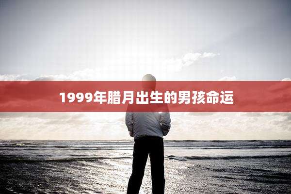 1999年腊月出生的男孩命运