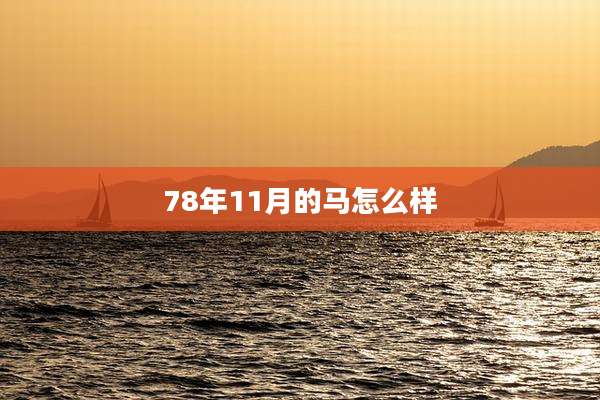 78年11月的马怎么样