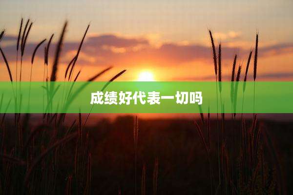 成绩好代表一切吗