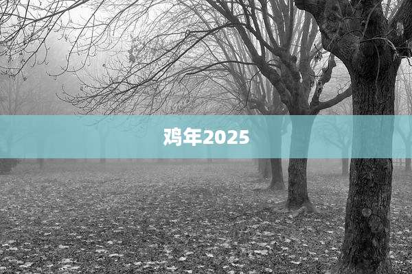 鸡年2025