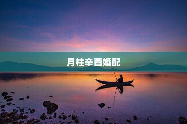 月柱辛酉婚配