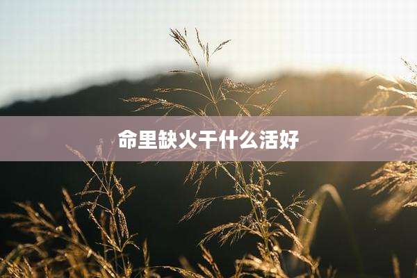命里缺火干什么活好