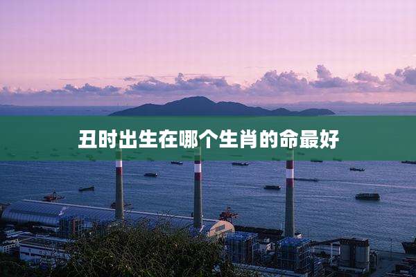 丑时出生在哪个生肖的命最好