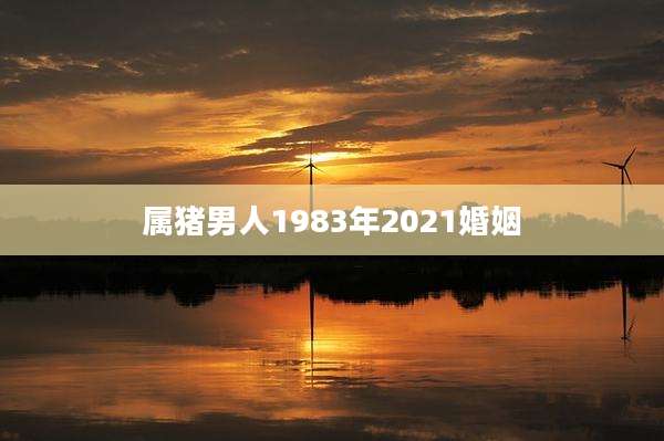 属猪男人1983年2021婚姻