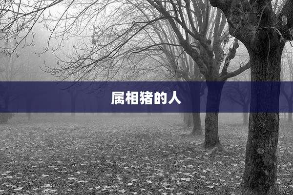 属相猪的人