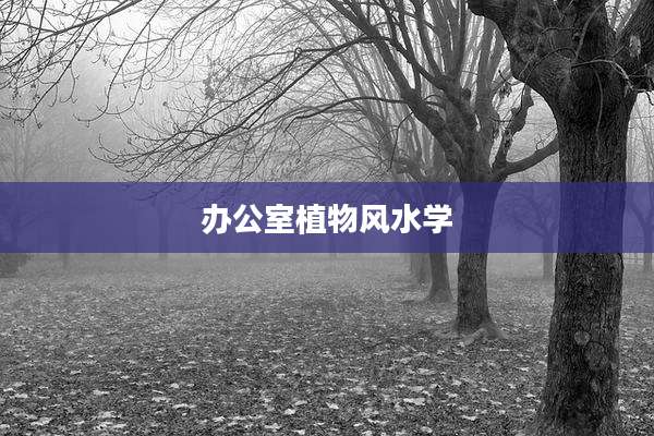 办公室植物风水学