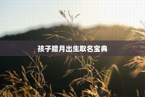 孩子腊月出生取名宝典