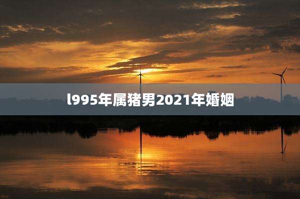l995年属猪男2021年婚姻