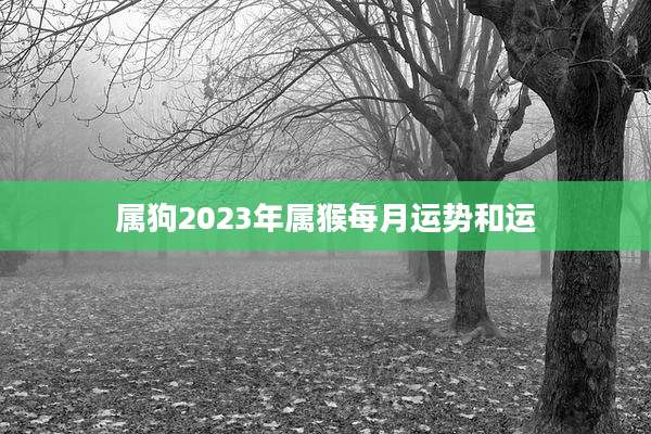 属狗2023年属猴每月运势和运