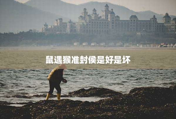 鼠遇猴准封侯是好是坏