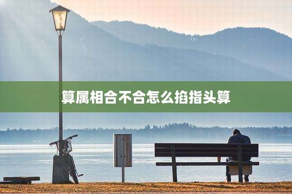 算属相合不合怎么掐指头算