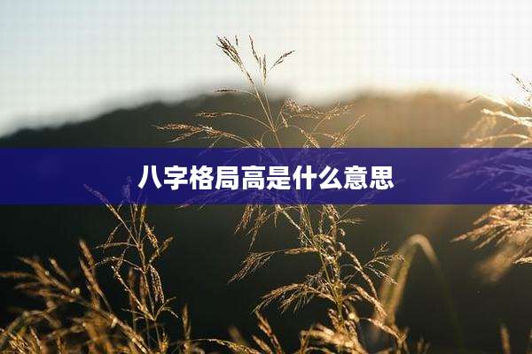 八字格局高是什么意思