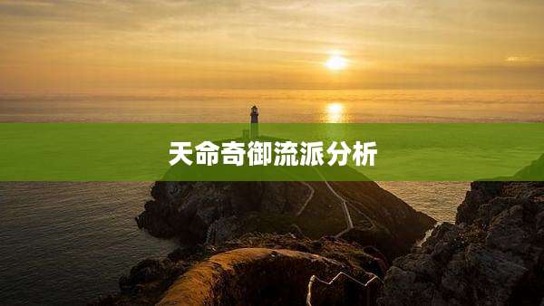 天命奇御流派分析