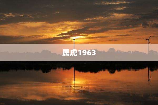 属虎1963