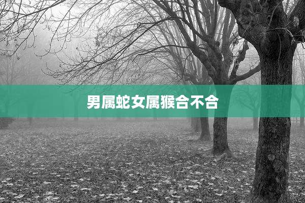 男属蛇女属猴合不合