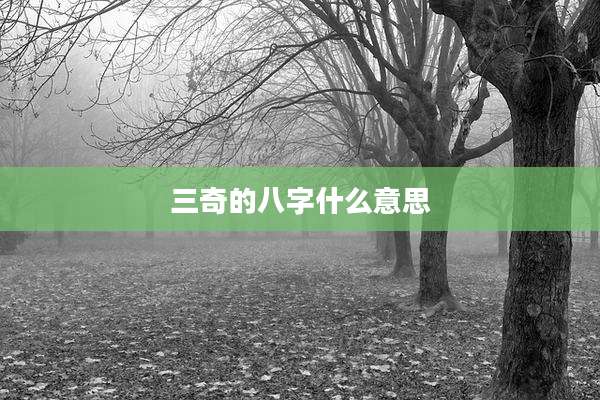 三奇的八字什么意思