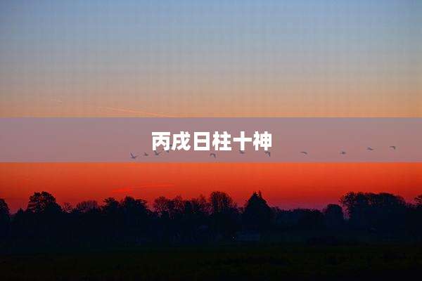 丙戌日柱十神