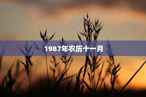1987年农历十一月