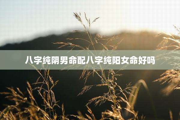 八字纯阴男命配八字纯阳女命好吗