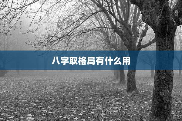 八字取格局有什么用