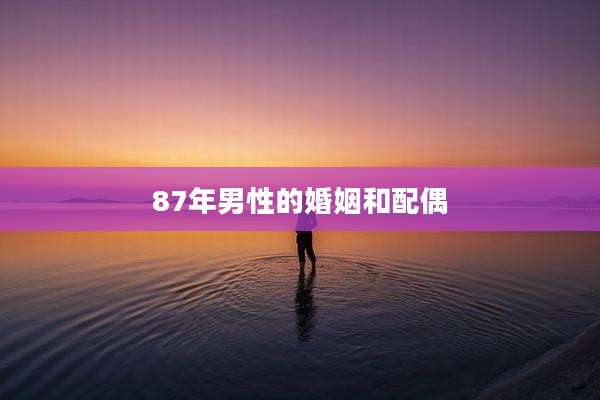 87年男性的婚姻和配偶