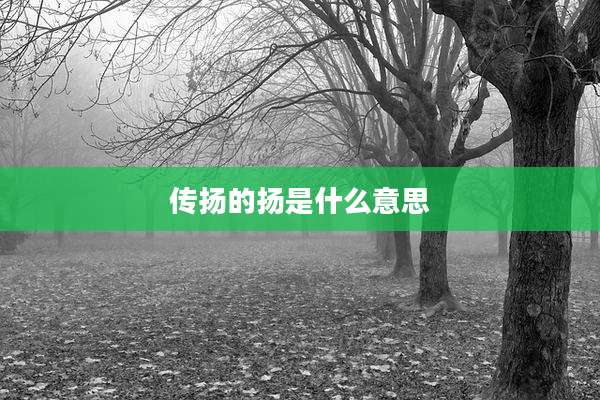传扬的扬是什么意思